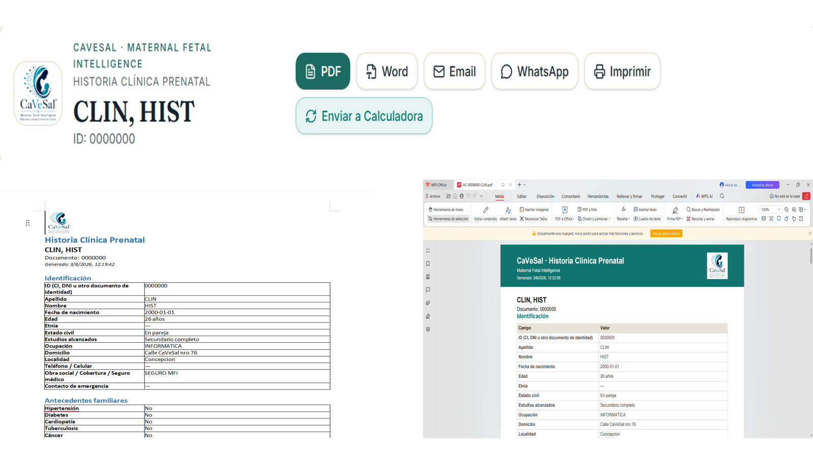 Botones de exportación y documento PDF/Word generado