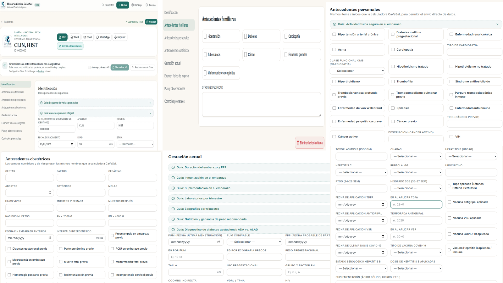 Identificación, Antecedentes familiares, personales y obstétricos, Gestación actual